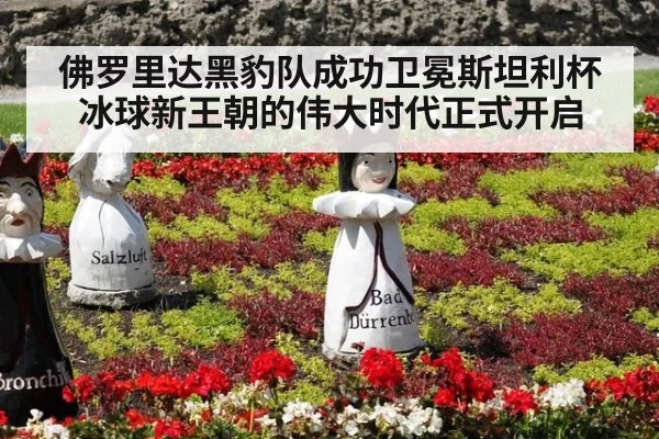 佛罗里达黑豹队成功卫冕斯坦利杯冰球新王朝的伟大时代正式开启
